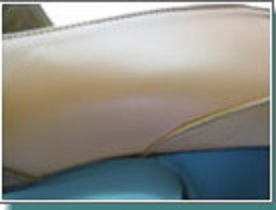 �C�̃L�Y�̕�C��