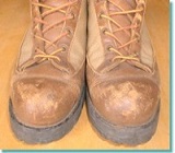 �C�̕�C�A���y�A�A�F�ւ��O