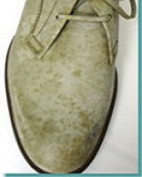 �C�̏���C�A���y�A�A�F�ւ�